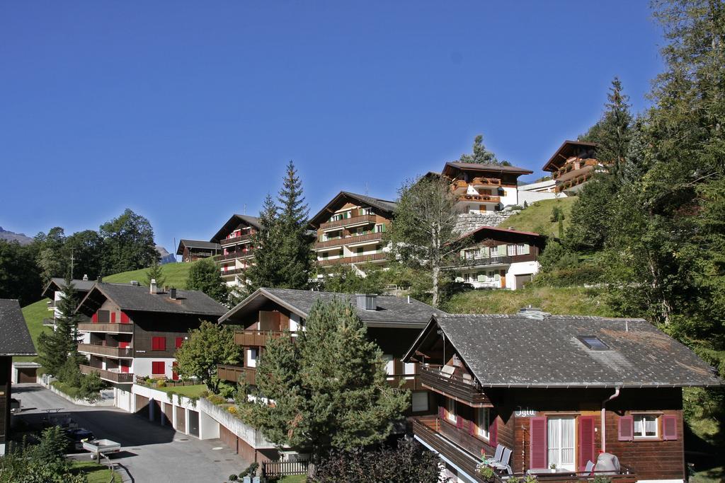 Chalet Zur Hoehe Daire Grindelwald Oda fotoğraf