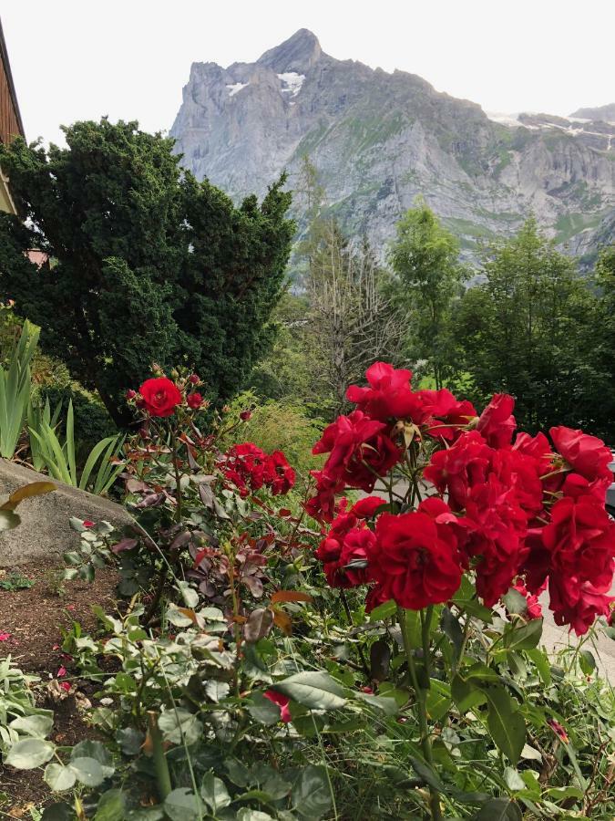 Chalet Zur Hoehe Grindelwald Dış mekan fotoğraf